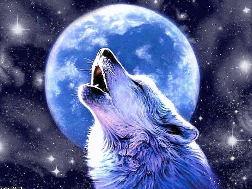 Wolf Howling At The Moon Wolf .pro HD wallpaper | Pxfuel