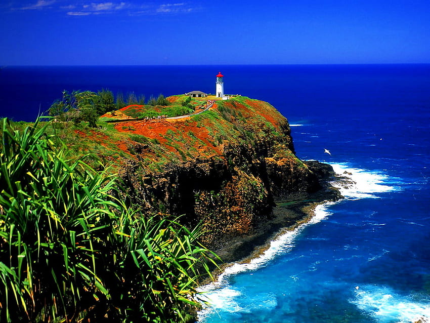 Kilauea Lighthouse, Kilauea, Summer . TOP pics HD wallpaper | Pxfuel