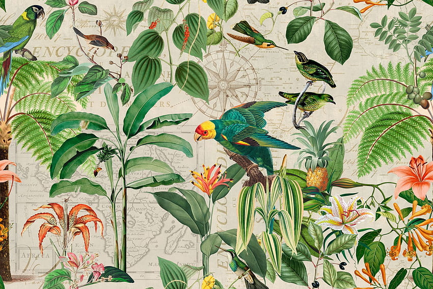 Wallpaper with birds for your home