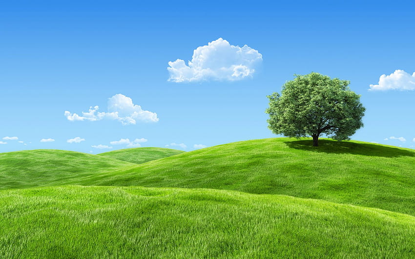 녹색 언덕 수평선 토지 풍경 잔디 빛 무성한 초원 [] 모바일 및 태블릿. 녹색 녹색 초원을 탐험하십시오. 녹색 녹색, 녹색, 잔디 언덕 HD 월페이퍼