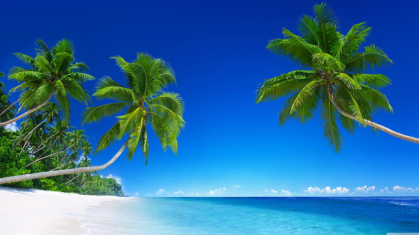 Tropical Beach Paradise, Summer Beach Paradise HD wallpaper | Pxfuel