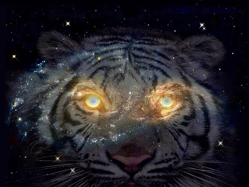 Galaxy Tiger, Hipster Tiger Galaxy HD wallpaper