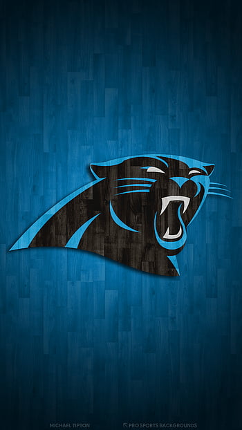 Wallpaper NFL, Carolina Panthers, sport, wallpaper, logo images for  desktop, section спорт - download