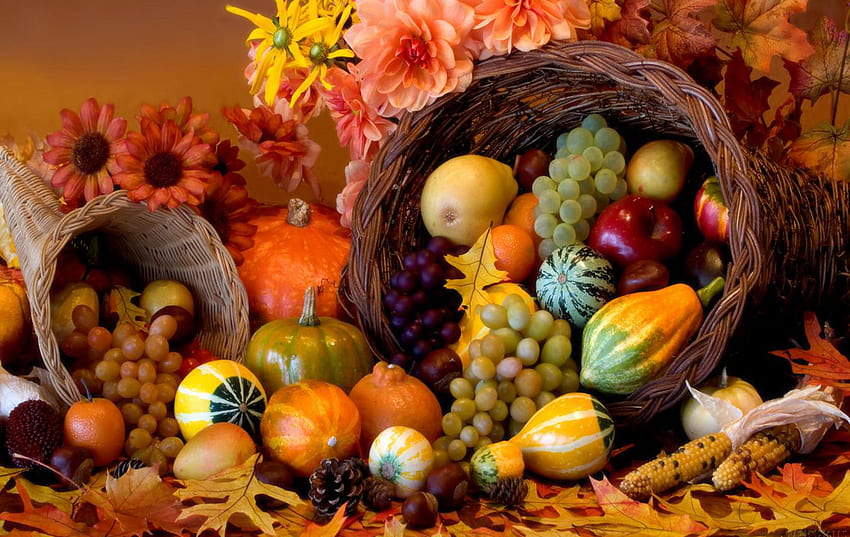 Thanksgiving. Dialect Zone International, Thanksgiving Blessings HD wallpaper