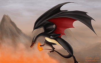 pokemon black charizard