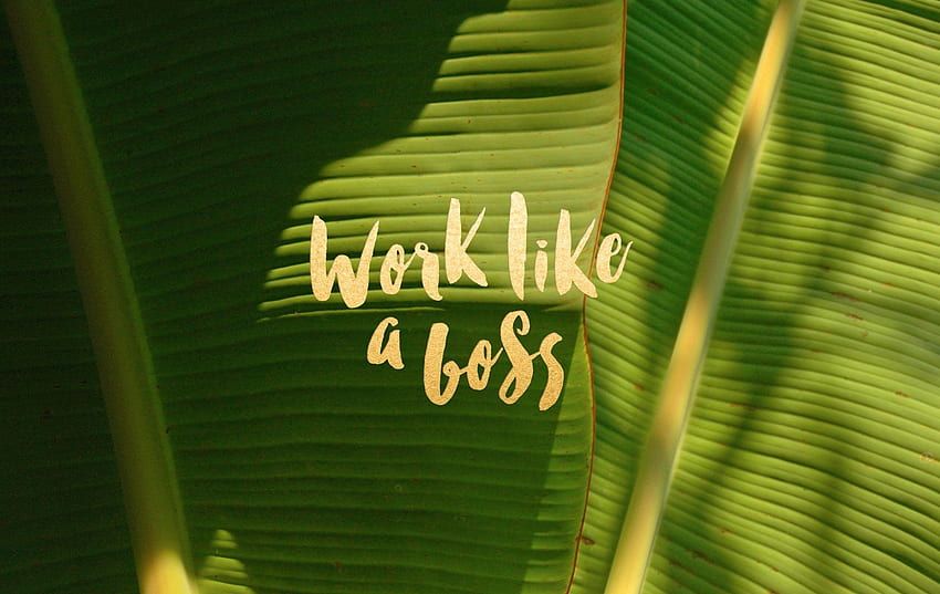 Work Like A Boss - Work Like A Boss - & Background HD wallpaper
