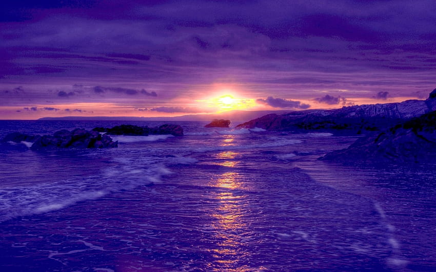SURISE, horizon, ocean, sunrise, beach HD wallpaper