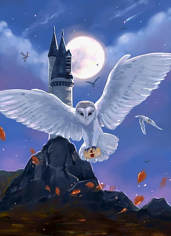 Hedwig Wallpapers  Top Free Hedwig Backgrounds  WallpaperAccess