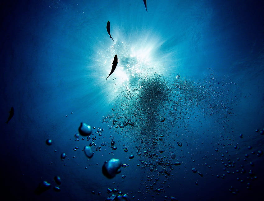 Underwater – Scuba Diving Reviews & Blog, Deep Sea Diver HD wallpaper