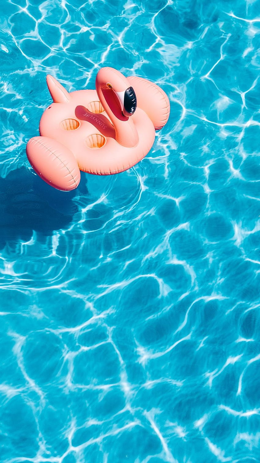 Pool, Water, Flamingo, Summer Iphone 8 7 HD phone wallpaper