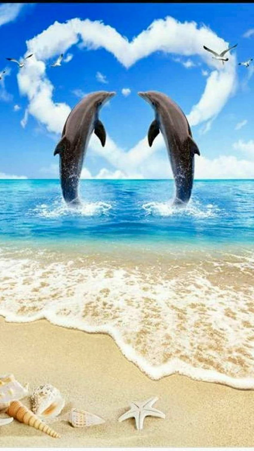 Delfiny, serce delfina Tapeta na telefon HD