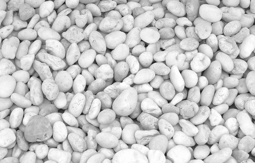 beach, pebbles, stones, background, white, white, beach, texture, marine, sea, pebbles for , section текстуры HD wallpaper