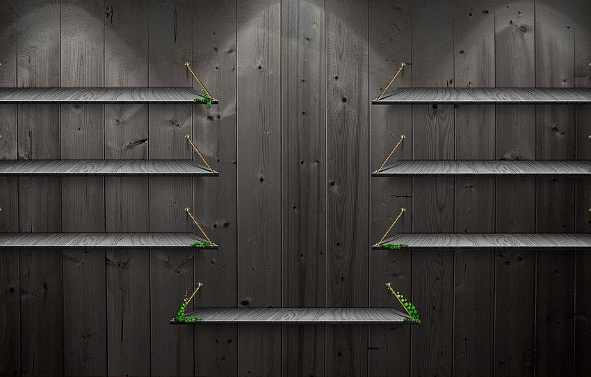 greens, tree, black, texture, shelves for, Shelf HD wallpaper