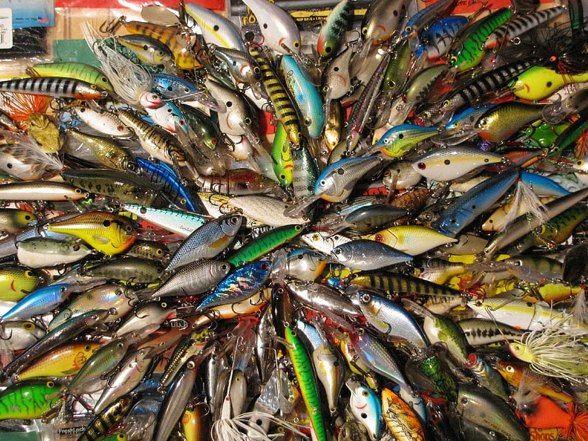 computer per esche da pesca | ... la pesca con colori vivaci attira gli attrezzi da pesca Sfondo HD