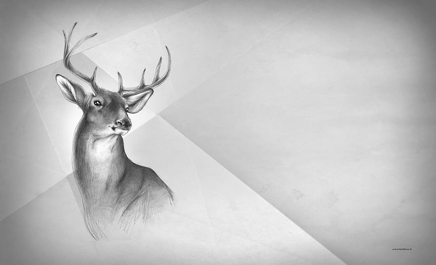 Deer black white art painting animal . . 680554. UP HD wallpaper