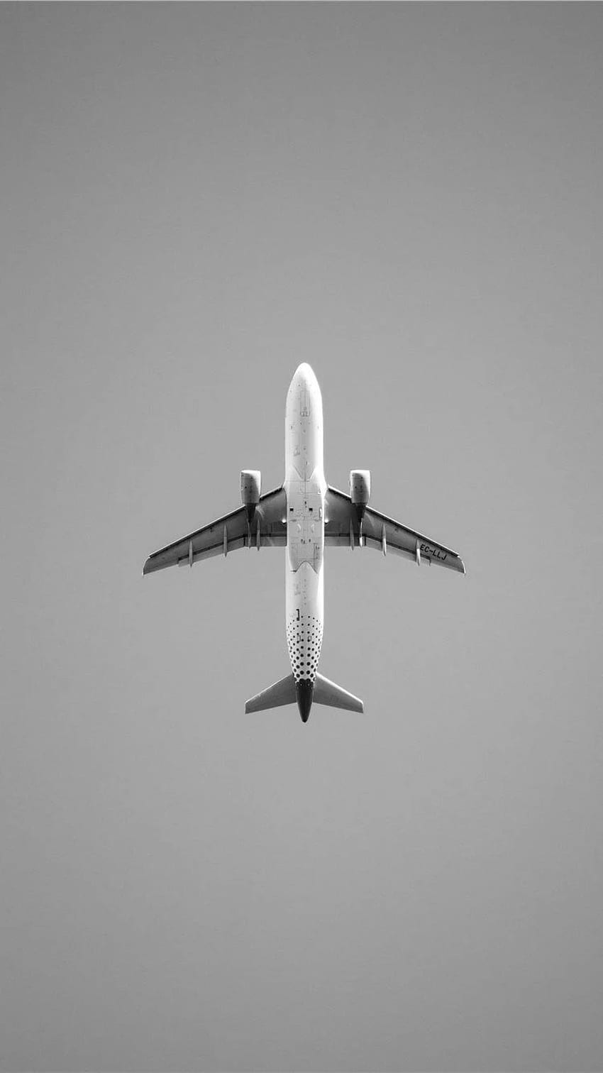 50,000+ Plane Wallpaper Pictures | Download Free Images on Unsplash