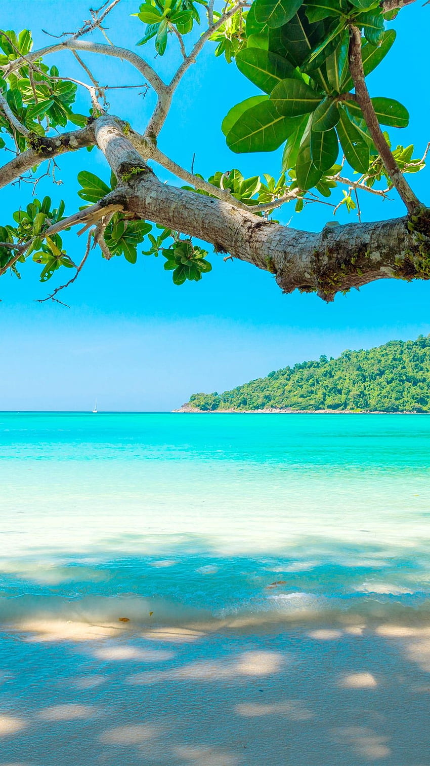 Beautiful Sea, Beach, Tree, Tropical IPhone 11 Pro XS Max , Background, , Pretty Beach iPhone HD phone wallpaper