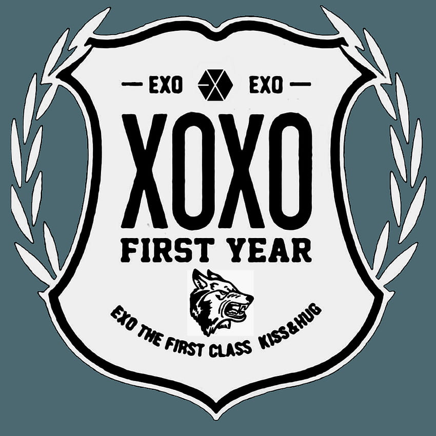 XOXO FIRST YEAR LOGO, EXO Xoxo HD phone wallpaper