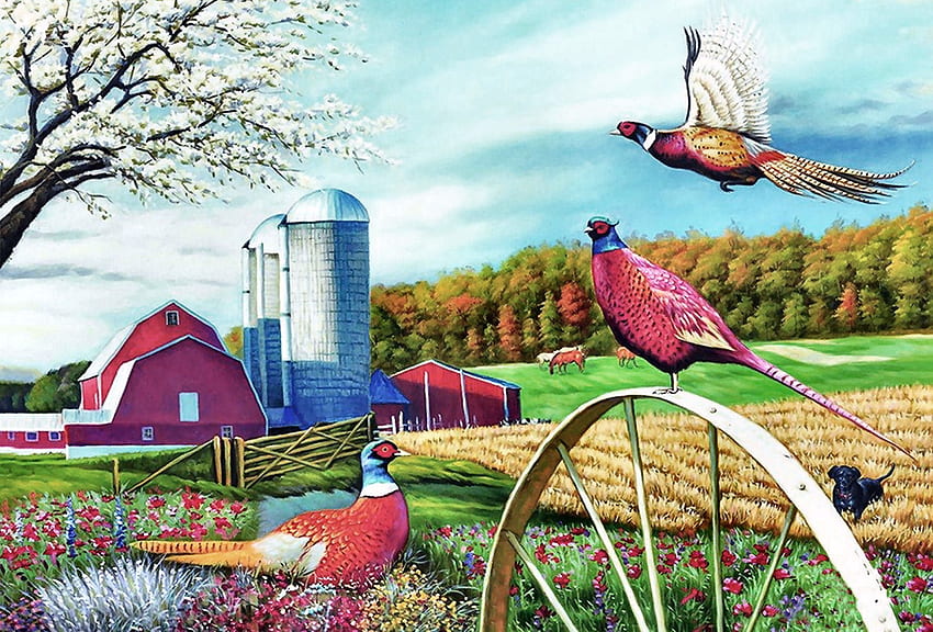 Pheasant Country F, animal, celeiro, pássaro, arte, Fazenda, bonita, ilustração, aviário, silos, obra de arte, tela larga, animais selvagens, pintura, faisão papel de parede HD