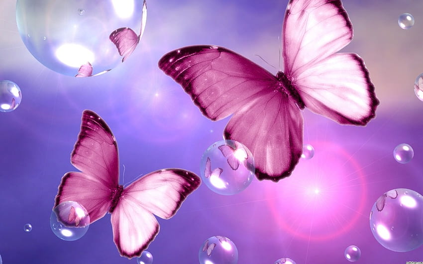 Beautiful Pink Butterfly Pink Flower [] for your , Mobile & Tablet. Explore Butterfly . 3D Butterfly , with Butterflies, Butterfly, Beautiful Pink Flowers Butterfly HD wallpaper