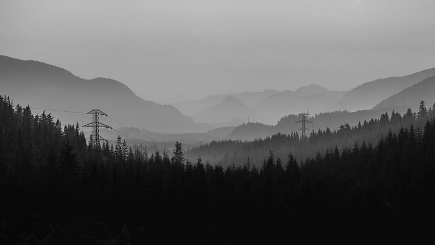 Windows 10, mgła, czarno-biały, pustynia, natura Tapeta HD