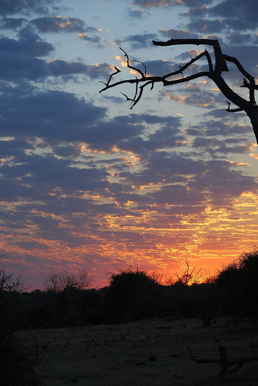 amanecer Botswana Sudáfrica. Viajes africanos, Cataratas Victoria, Mejor puesta de sol fondo de pantalla del teléfono
