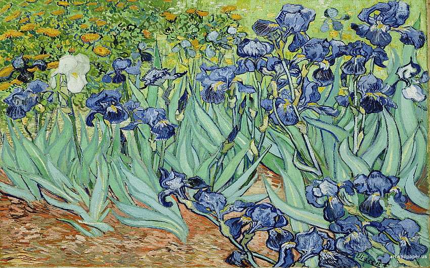 Van Gogh Flowers and, Van Gogh Almond Flowers HD wallpaper