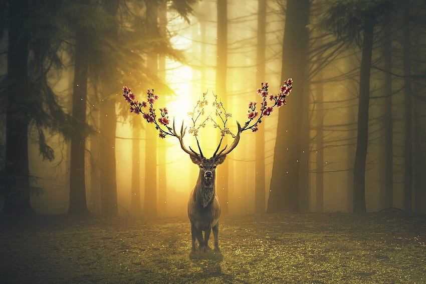Ciervo, bosque, surrealista fondo de pantalla