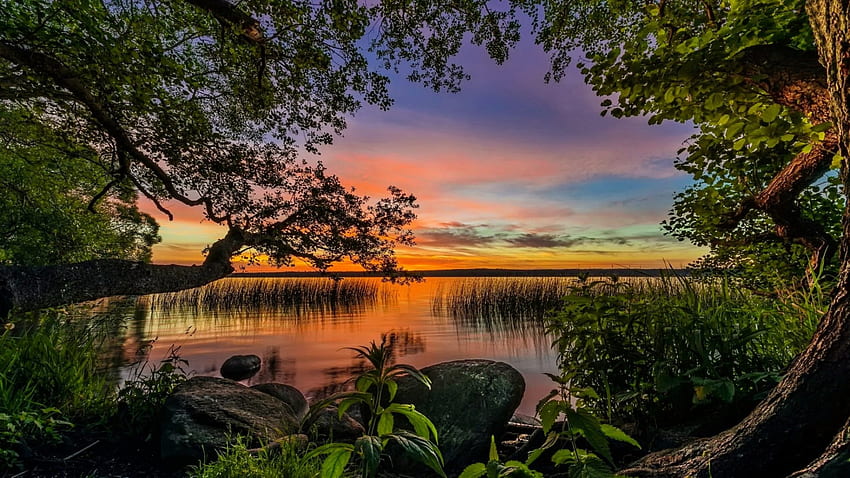 ทะเลสาบพระอาทิตย์ตก ต้นไม้ ท้องฟ้า สวย น่าทึ่ง ทะเลสาบ พระอาทิตย์ตก เงียบสงบ เงียบสงบ วอลล์เปเปอร์ HD