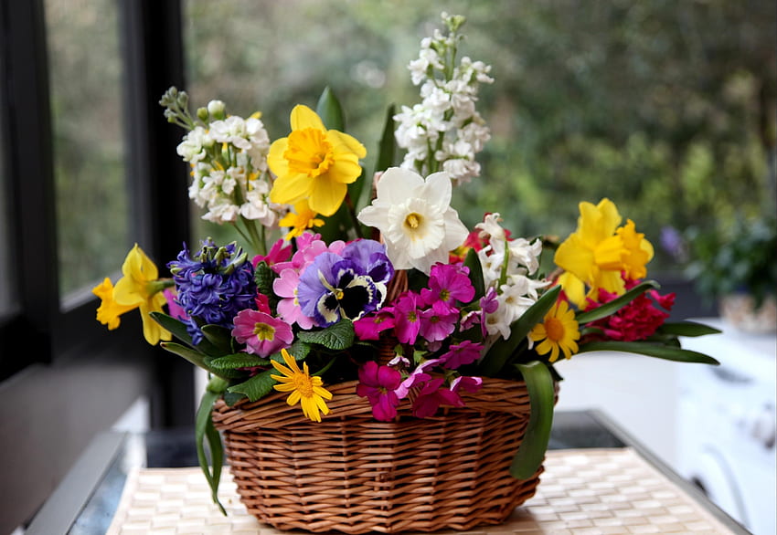 Flowers, Pansies, Narcissussi, Hyacinth, Basket, Composition HD wallpaper