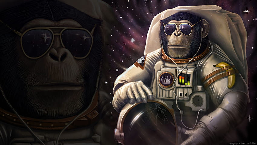 Amazing Astronaut pagina 2 sullo spazio [] per il tuo , cellulare e tablet. Esplora la scimmia dei cartoni animati. Scimmia carina, Scimmia, Scimmia per, Cartoon Gorilla Sfondo HD