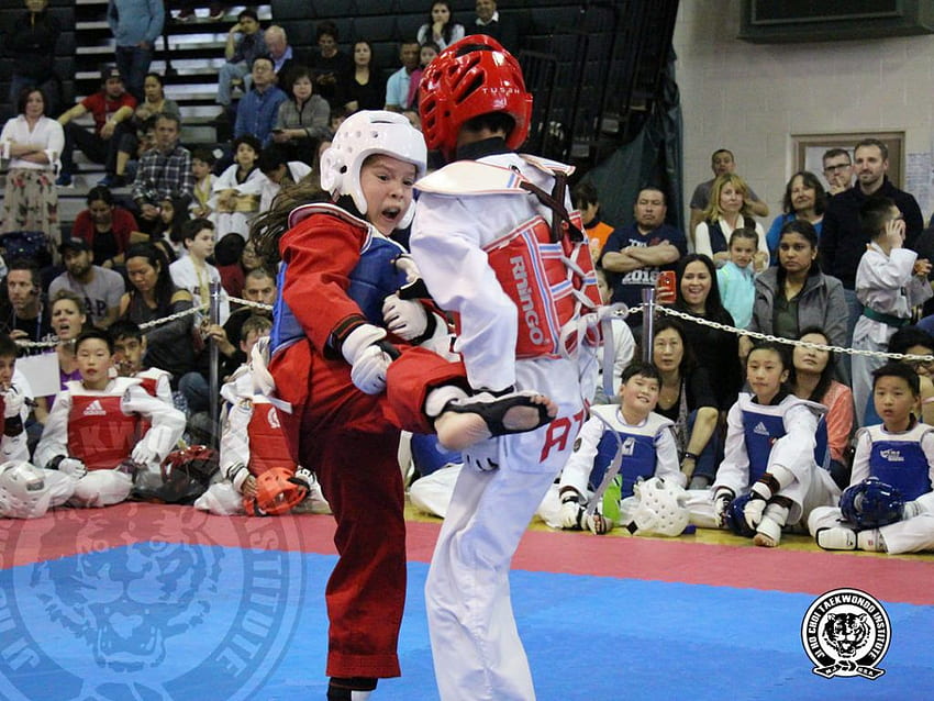 Everything You Need to Know About Tag Team Sparring – Ji Ho Choi TaeKwonDo Institute HD wallpaper