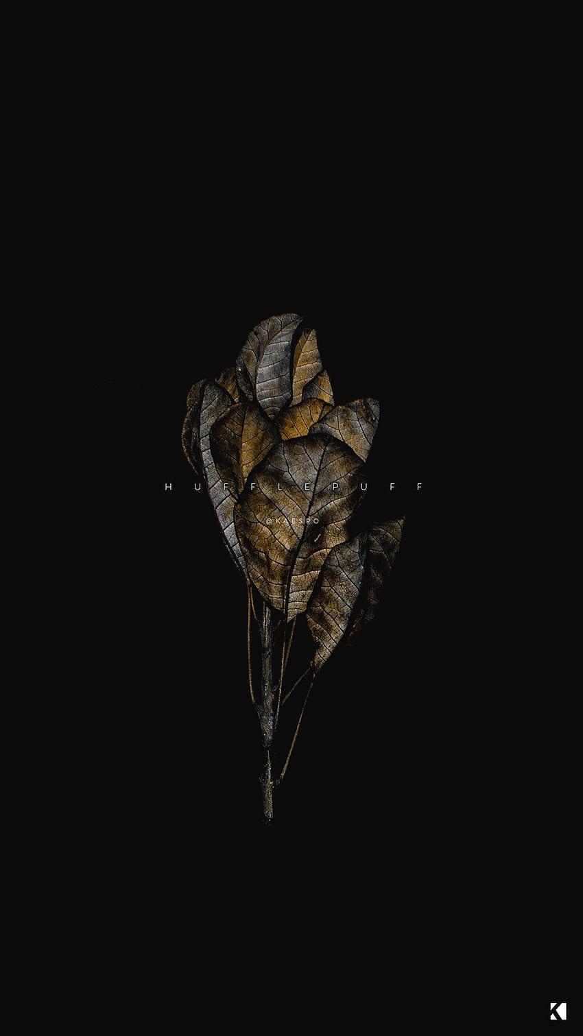 Nº 419 - Hogwarts Houses + Dark Dead Botanicals, Dark Leaves Aesthetic Papel de parede de celular HD