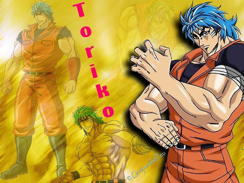 Toriko on, Toriko Anime HD wallpaper | Pxfuel