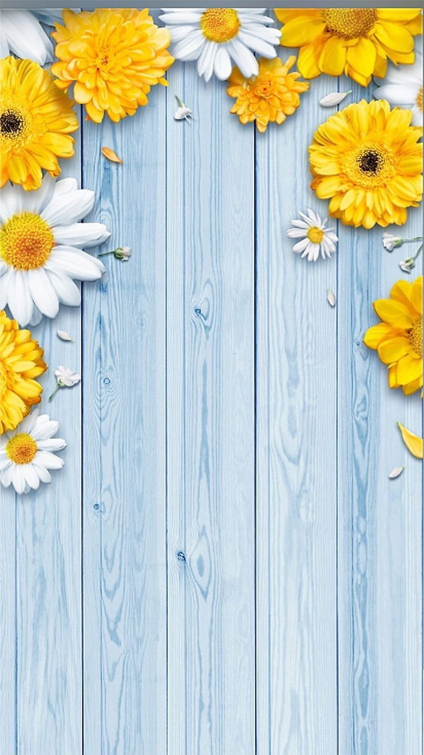 iPhone azul. Flor azul, de flores, Floral, Girasol azul fondo de pantalla del teléfono