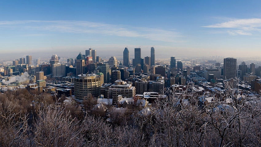 Città, Inverno, Alberi, Neve, Canada, Montreal Sfondo HD