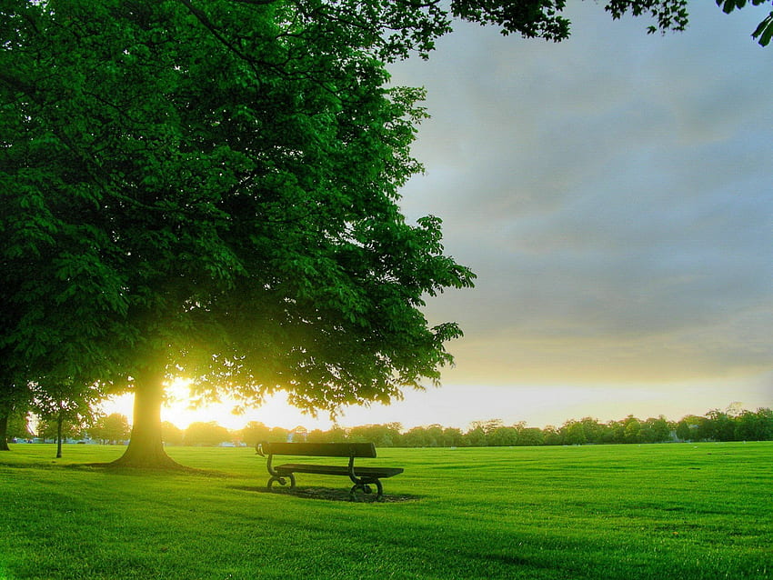 Landschaft am Morgen. Grüne Natur, schöne Natur, Sommerlandschaft HD-Hintergrundbild