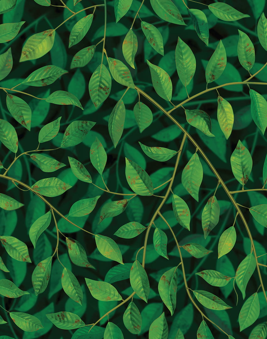 A Million Leaves, Dark – The Pattern Collective, Dark Leaves Aesthetic Papel de parede de celular HD