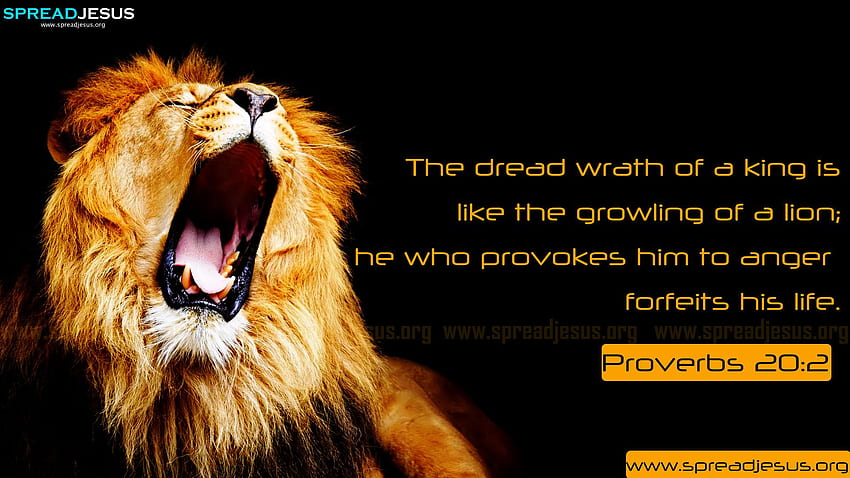 Bible Quotes From The Lion. QuotesGram, Lion Motivation Bible HD wallpaper