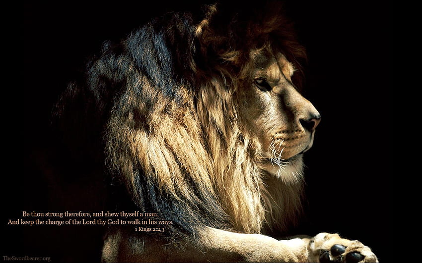 Strong Lion Quotes (Page 1), Lion Motivation Bible HD wallpaper