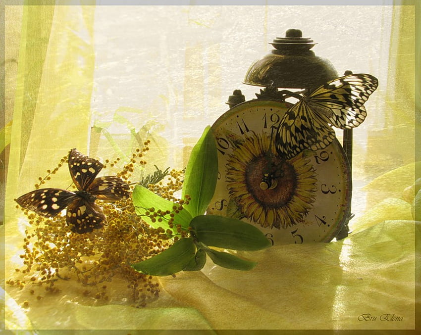 Ali del tempo, soleggiato, ali, farfalle, bellissimo, numeri, rustico, natura morta, girasoli, sveglia, giallo, orologio Sfondo HD