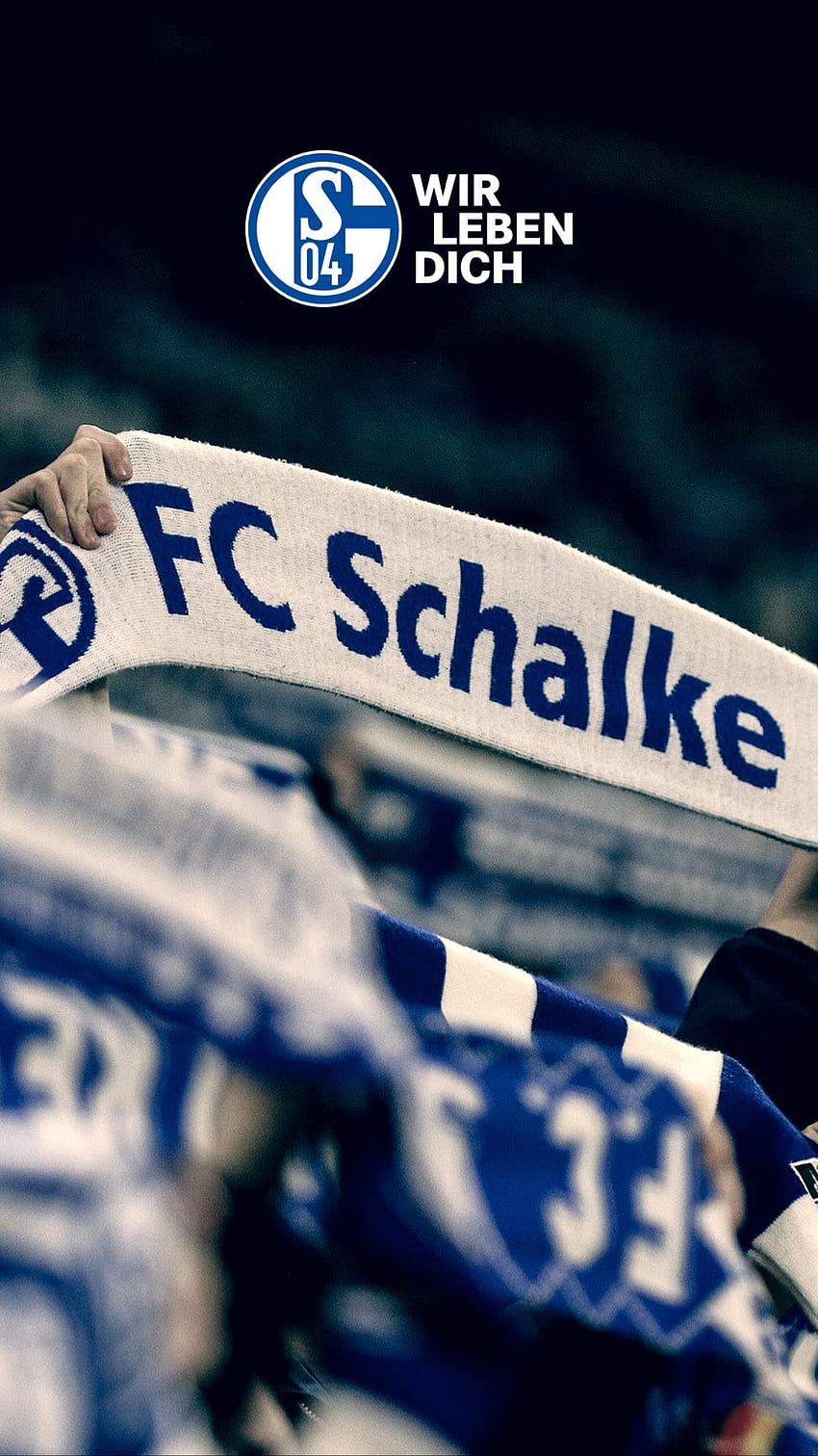 Schalke 04 USA, FC Schalke 04 HD-Handy-Hintergrundbild