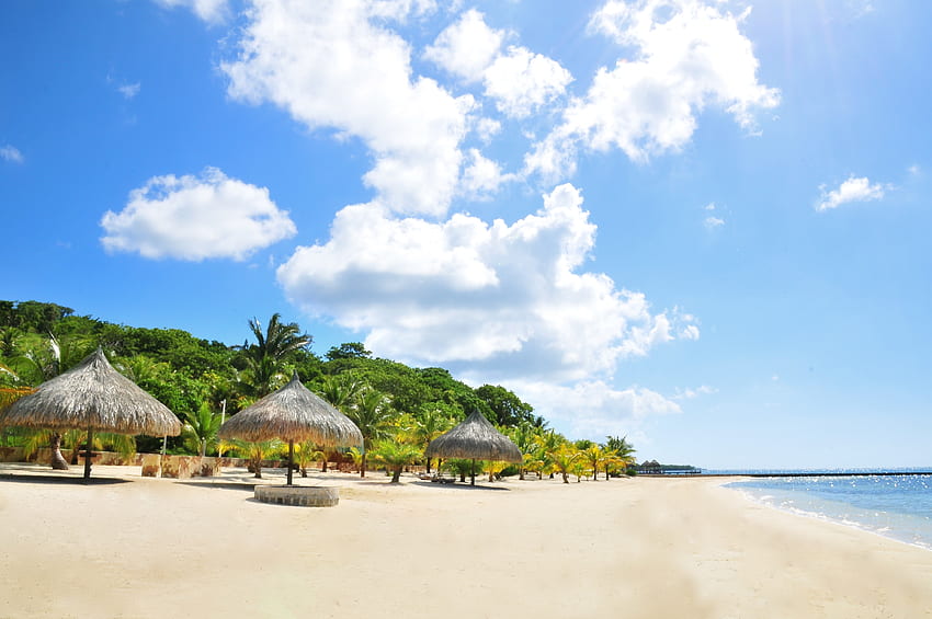 Alam, Pantai, Pasir, Telapak Tangan, Tropis Wallpaper HD