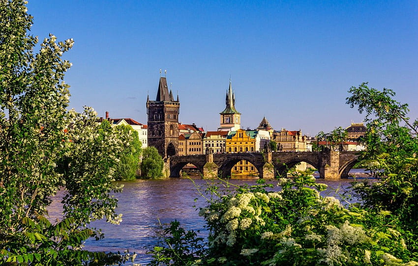 rzeka, wiosna, Praga, Czechy, Vltava, Charles Tapeta HD