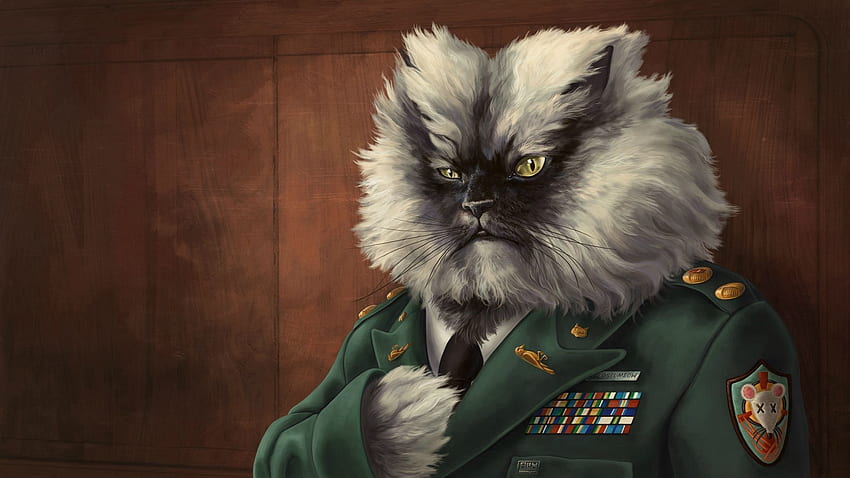 Sztuka, kot, puszysty, marynarka, płaszcz, wojskowy Tapeta HD