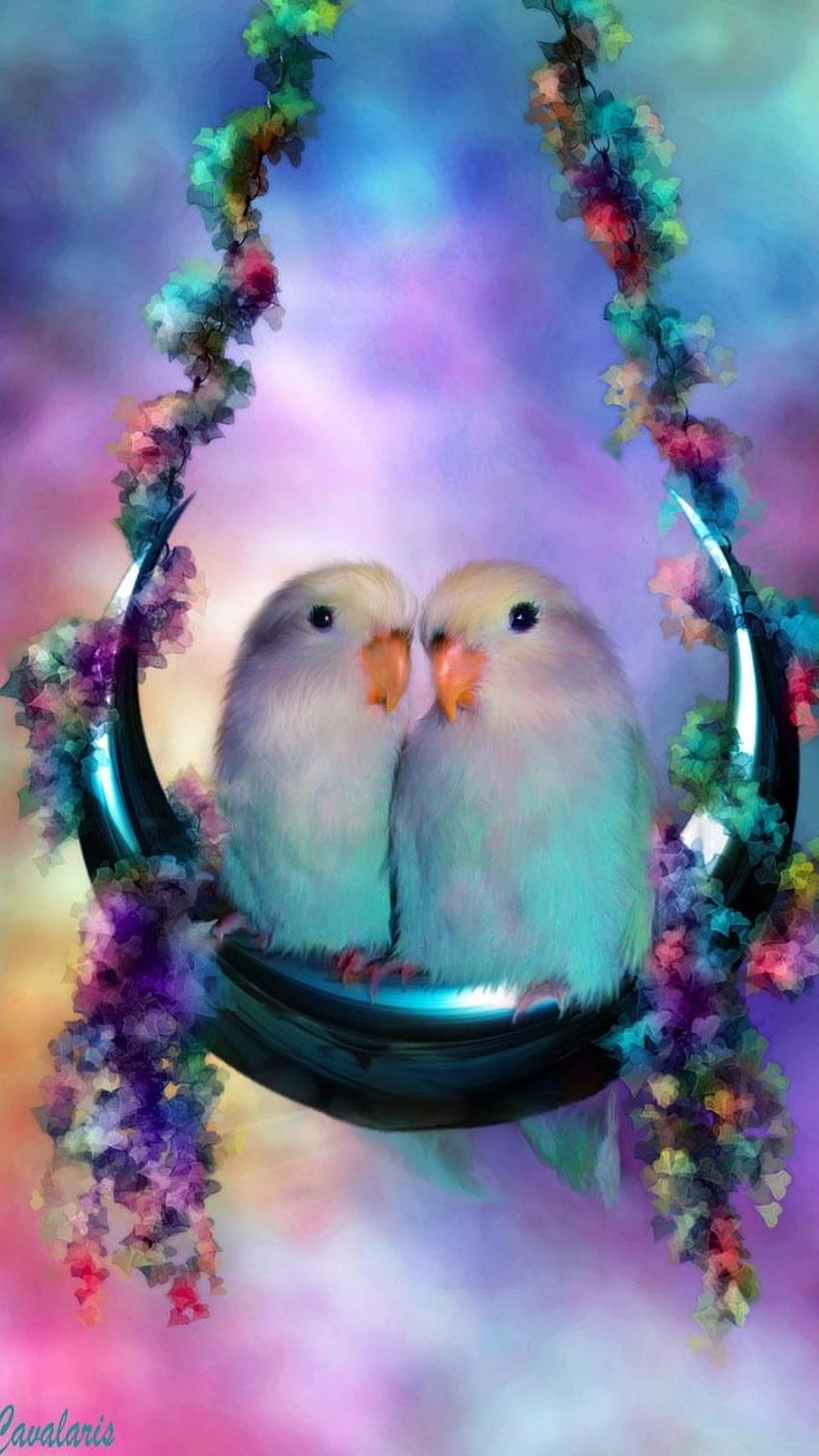 Aşk Kuşları, Çift, Kuşlar HD telefon duvar kağıdı
