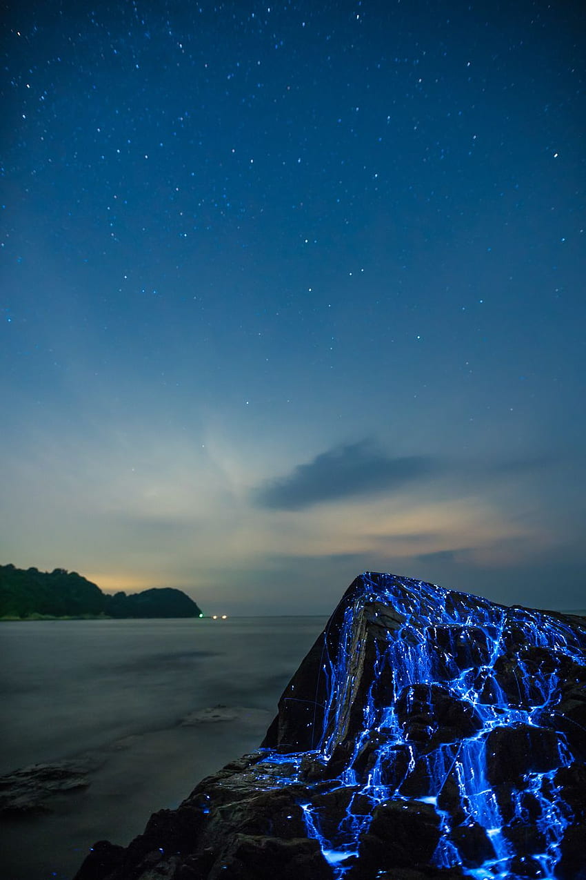 Biyolüminesan Karidesin Mavi Nehirleri Okyanus Kenarındaki Kayalardan Damlıyor, Biyolüminesans HD telefon duvar kağıdı