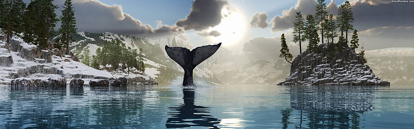 Visual Paradox 3D 'Tale of The Whale' ขนาดหน้าจอคู่ 3840X1200 ธรรมชาติ วอลล์เปเปอร์ HD