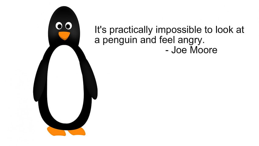 pinguini, bianco, nero, citazioni, minimalista, semplicistico, scala di grigi Sfondo HD
