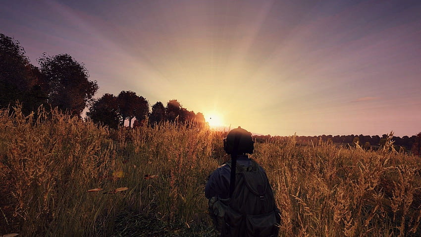 video Games, DayZ / and Mobile Background HD wallpaper